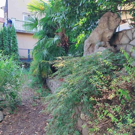Green House Cavle Екстер'єр фото