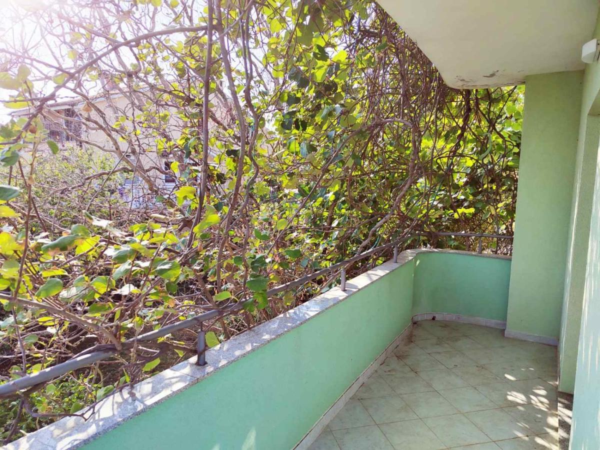 Green House Cavle Екстер'єр фото